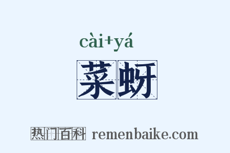 菜蚜是什么意思的图片